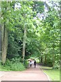 Path down Jesmond Dene