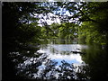 South end of Mill Pond, Hill Hook Nature Reserve