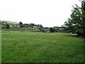 Pasture at Lowmill Haughs