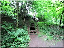 NO2407 : Steps on path to Maspie Den, Lomond Hills by Bill Kasman