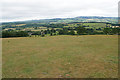 Hillside above Crowcombe