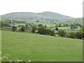 Drumlin landscape north of Whitehill Road