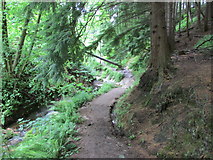 NO2307 : Path to Maspie Den, Lomond Hills by Bill Kasman