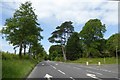 Mature trees at junction of Golding Avenue and A4