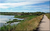 TF7544 : RSPB Titchwell by Mary and Angus Hogg