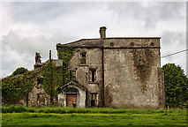 W8398 : Bellvue House, Fermoy - a walk around a ruin (3) by Mike Searle