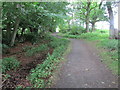 Path to Purin Hill, Lomond Hills