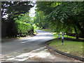 Road towards Bury, West Stow