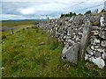 War Department boundary stone, Whitelees