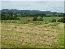 SO6380 : Silage making by Philip Halling