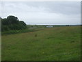 Grassland, Raebog