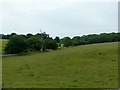 View towards Bowldown Wood