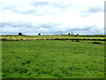 H3081 : Grass fields, Maghercreggan by Kenneth  Allen
