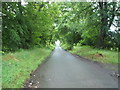 NS9673 : Minor road, Wester Woodside by JThomas