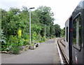 Liskeard Station Looe Branch Line Platform