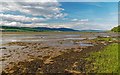 NH5859 : Cromarty Firth Mud Flats by valenta