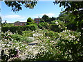 TR0660 : View from the Millennium Rose Garden at Mount Ephraim Gardens by Marathon