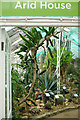 SP0485 : The Arid House - Birmingham Botanical Gardens by Stephen McKay
