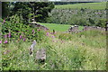 Overgrown bench at Ton y groes