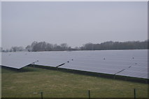 TL5271 : Solar Farm by N Chadwick