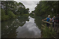 Middle Pond Lumsdale