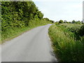 Looking northeast along Cockreed Lane