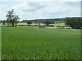 Cottage in farmland