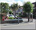 Summerland Avenue postbox, Minehead