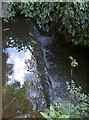 Small weir near Woollard