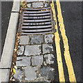 ST5773 : Cast-iron gully grating and stone channel, Gordon Road, Clifton, Bristol by Robin Stott