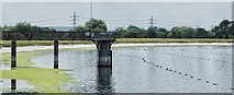 SP2291 : Shustoke reservoir by Graham Jones