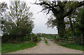 Driveway to Woodgate Farm