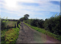 Track to Broughton Lodges