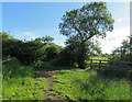 Field entrances south of Kirby Lane