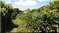 Footpath from Langland Bay