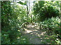 Steps on path at Jugg Hill