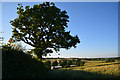 Mid Devon : Countryside Scenery