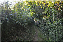SS7503 : Mid Devon : Footpath by Lewis Clarke