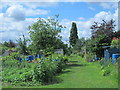 East Hale Allotments (3)