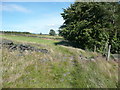 Sowerby Bridge FP38 crossing a ruined field wall, Luddendenfoot