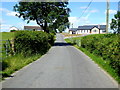 Feddan Road, Feddan