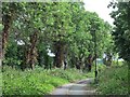 Footpath by Watermead Way, N17