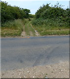 TF7334 : Peddars Way crossing a lane near Fring by Mat Fascione