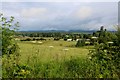 Farmland north of Methven