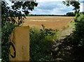 Public footpath along London Road