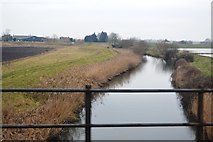 TL5999 : River Wissey by N Chadwick