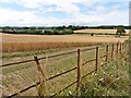 Farmland, south of Bishops Lydeard