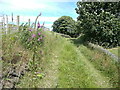 Pigman Lane approaching Winterburn Lane, Warley