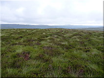 SH9521 : Summit area of Bryn Mawr by Richard Law