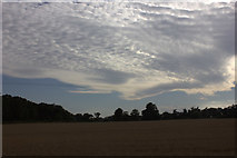 TM3559 : Late afternoon clouds from Mill Lane by Robert Eva